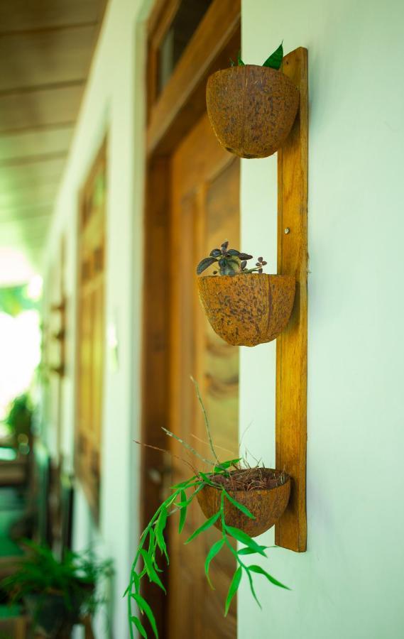 Dambulla Kings Inn エクステリア 写真
