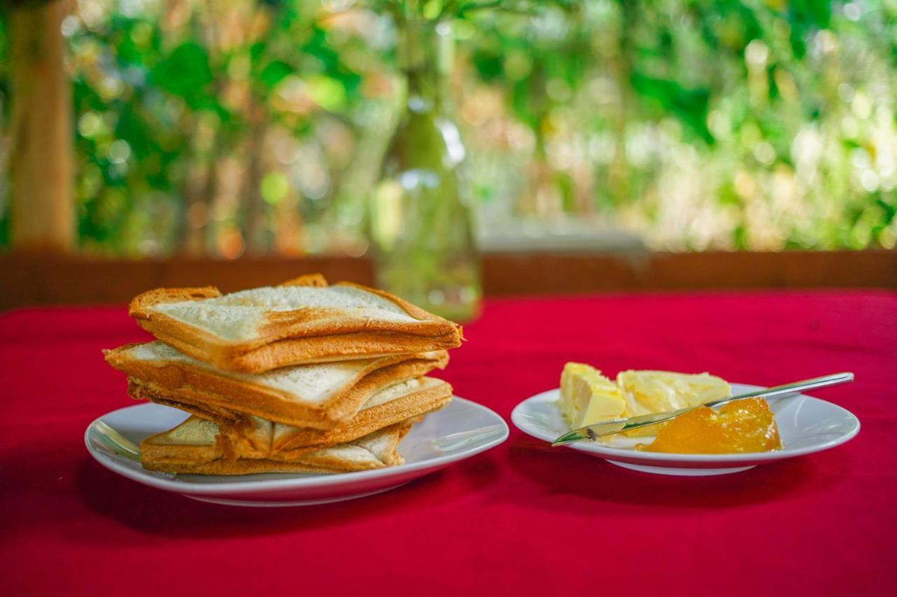 Dambulla Kings Inn エクステリア 写真