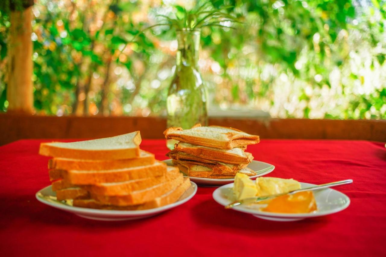 Dambulla Kings Inn エクステリア 写真